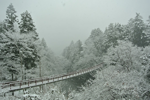 冬の石舟橋