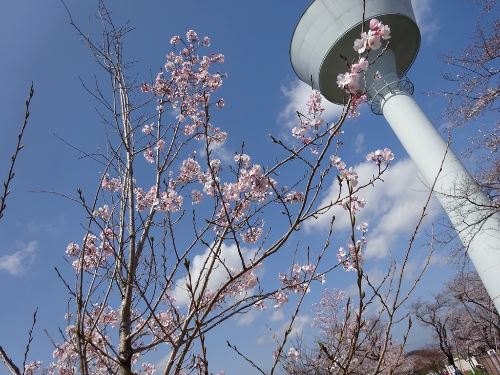 西多摩への誘い～２０２４年春のまつり～